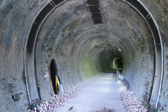 Paulo Roberto Gomes Fernandes analisa como a aprovação do túnel da Linha 5, em Michigan, redefine os padrões de segurança para grandes gasodutos.
