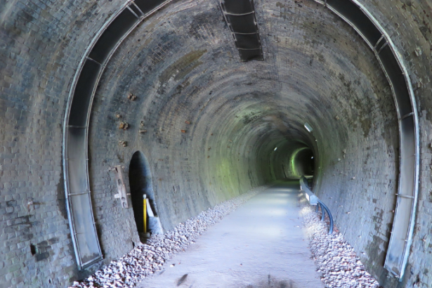 Paulo Roberto Gomes Fernandes analisa como a aprovação do túnel da Linha 5, em Michigan, redefine os padrões de segurança para grandes gasodutos.