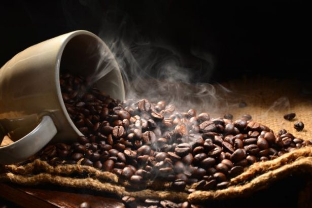 Café em Roraima ganha força e já está presente em 10 municípios, abrindo novas oportunidades para o agronegócio