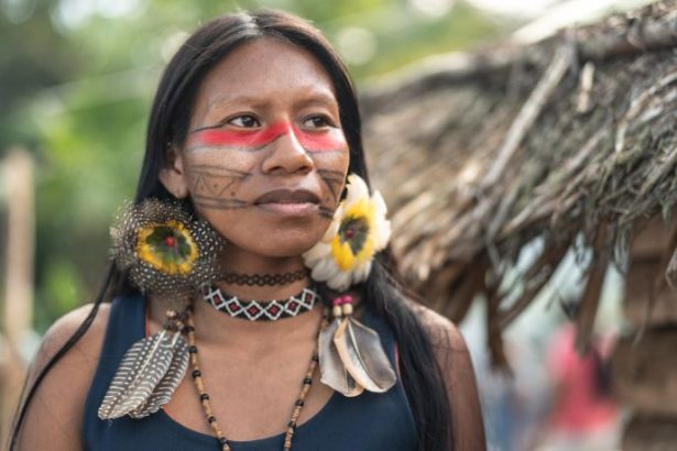 Diálogo institucional e política indigenista: caminhos para a reconstrução e fortalecimento dos povos originários
