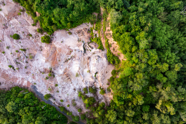 Desmatamento em Roraima cresce 11% e acende alerta para o futuro da Amazônia