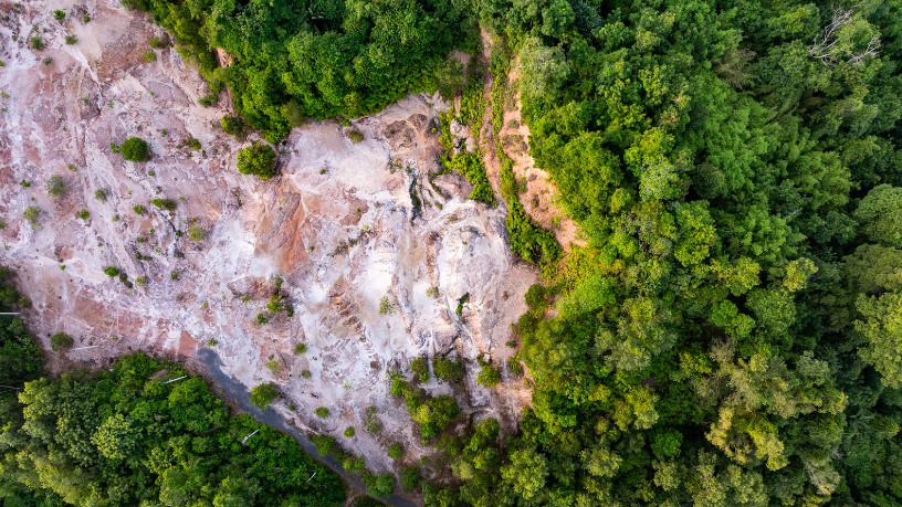 Desmatamento em Roraima cresce 11% e acende alerta para o futuro da Amazônia