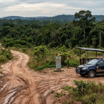 Fronteira de Roraima: operação da PF contra migração irregular acende alerta sobre crimes entre Brasil e Guiana