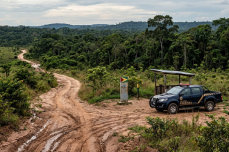 Fronteira de Roraima: operação da PF contra migração irregular acende alerta sobre crimes entre Brasil e Guiana