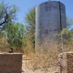 Caixa-d’água de concreto cercada por vegetação seca e árvores sob céu azul